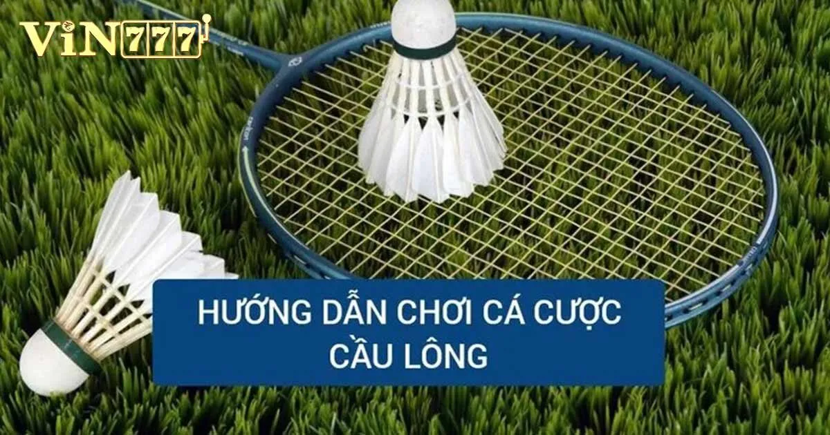 Hướng dẫn chơi cá cược cầu lông tại nhà cái Vin777